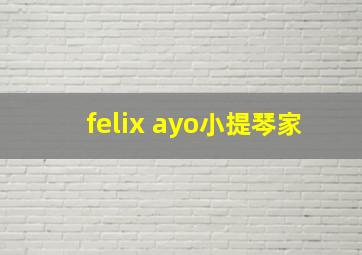 felix ayo小提琴家